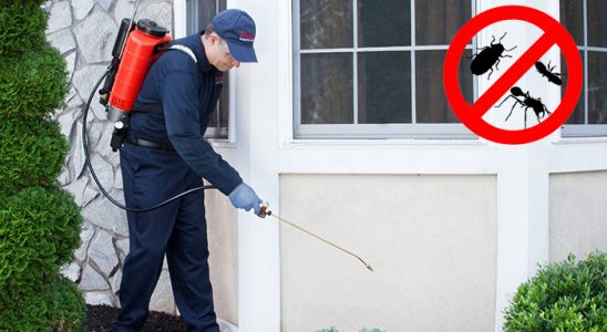 Kargı Dezenfeksiyon böcek ilaçlama ve haşere kontrolü — ilaclama-tr.com
